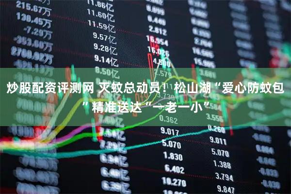 炒股配资评测网 灭蚊总动员！松山湖“爱心防蚊包”精准送达“一老一小”